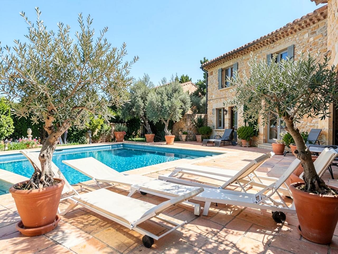 Terrasse de villa avec oliviers en pot au bord de la piscine